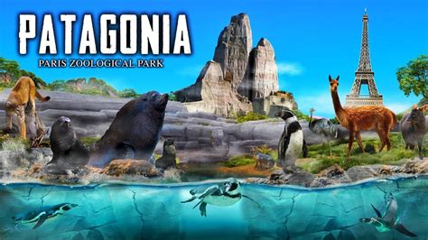 Zoo Tours: Patagonia | Paris Zoological Park - JJ Social Videos