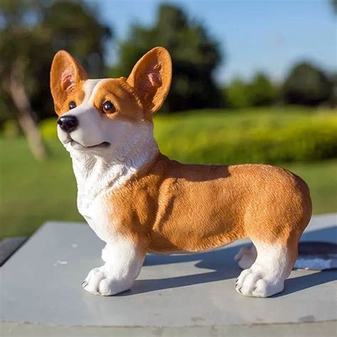 Son Pembroke Welsh Corgis Buenas Mascotas Familiares