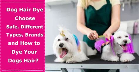 Dog Hair Dye Choose What Ingredients Are Safe Different Types