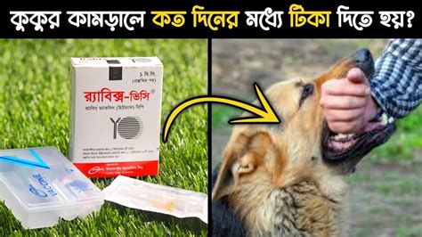 Rabix Vc Human Injection কুকুর বিড়াল কামড়ালে বা আঁচড় দিলে যা