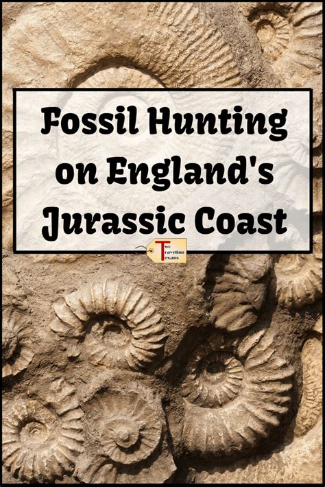 First Time Fossil Hunting On The Jurassic Coast Two Traveling Texans