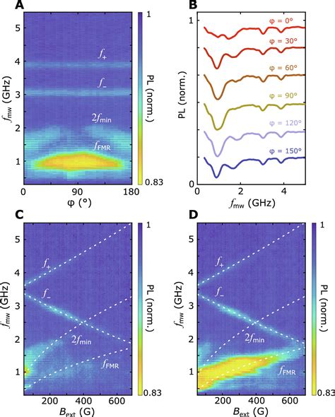 Sensing Spin Wave Excitations By Spin Defects In Few Layer Thick