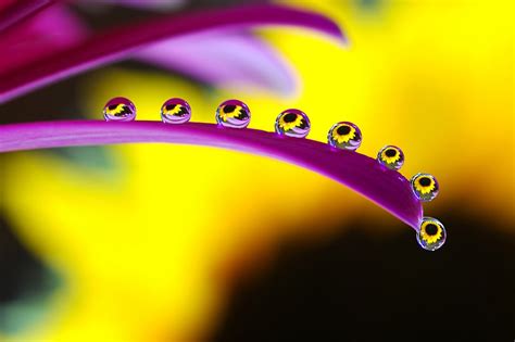 Macro Photography Water Drops11 – Creativeoverflow