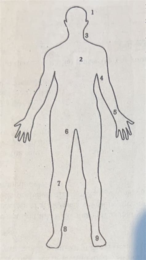 CPM Pulse Points Diagram Quizlet