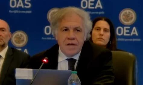 Video Luis Almagro Confirm Que Tuvo Relaci N Con Funcionaria Canal N