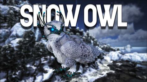 Ark Snow Owl How To Tame Feed And Breed