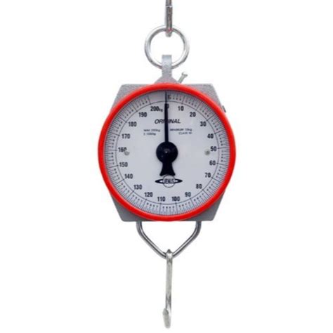 Hanson 100KG Weighing Scale Hook Type At City Communication