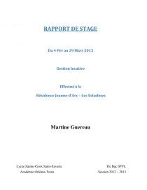 Rapport De Stage Bac Pro Mei Exemple Le Meilleur Exemple Riset