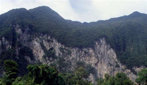 Gunung Mulu National Park Borneo Island Malaysia Visitor Guide