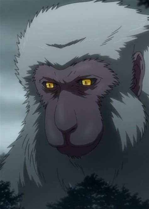 Monkey Summoning Species | Wiki | Naruto Amino