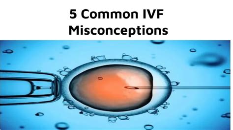 Ppt 5 Common Ivf Misconceptions Powerpoint Presentation Free