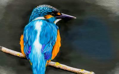 Descargar Pescador De Reyes Pintados 4k Obra De Arte Fauna Silvestre