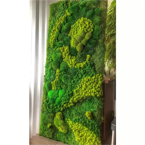 Moss Wall Art Rosana Gardeners Emporium