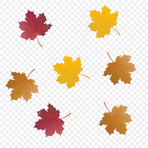 Fallen Leaves Vector Design Images Autumn Colorful Fallen Leaves