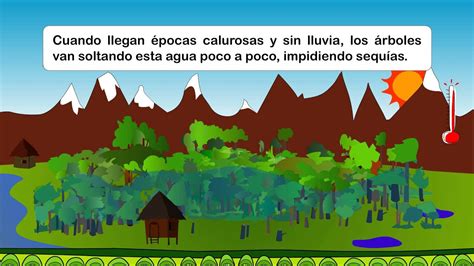 Los Bosques Y El Cambio Climático Youtube