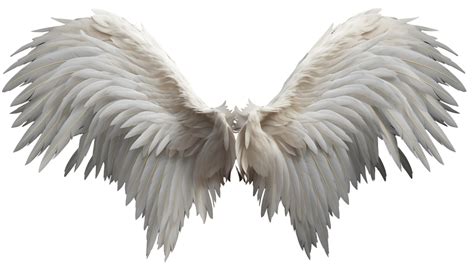 Realistic Style Angels Wings No Background Perfect For Photograph