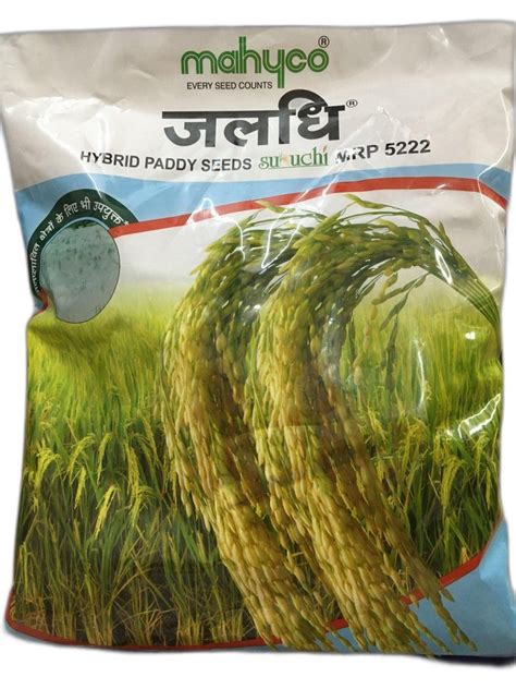 Mahyco Hybrid Paddy Seeds Packaging Type Packet Packaging Size 3 Kg