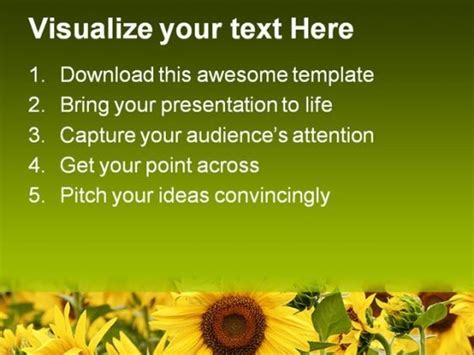 Field Of Sunflowers Beauty PowerPoint Templates And PowerPoint Backgrounds 0311