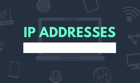 Ip Ip Address