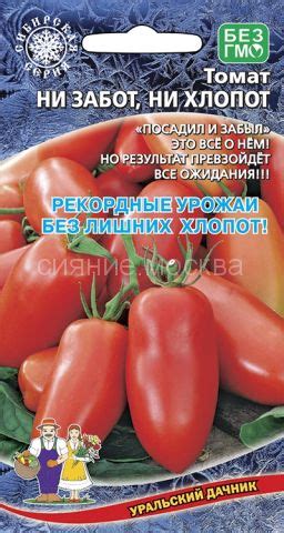ТОМАТ НИ ЗАБОТ, НИ ХЛОПОТ