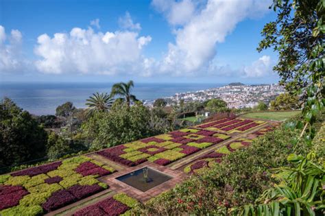 470+ Madeira Botanical Garden Stock Photos, Pictures & Royalty-Free Images - iStock