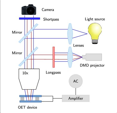 Schematic Representation Of The Experimental Setup Used In This Work