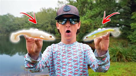 I Went Fishing With The Most REALISTIC Lures Science Experiment YouTube