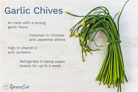 What Are Garlic Chives