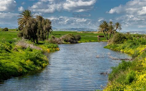 Image of Larnaca Salt Lake by Adelheid Smitt | 1028681