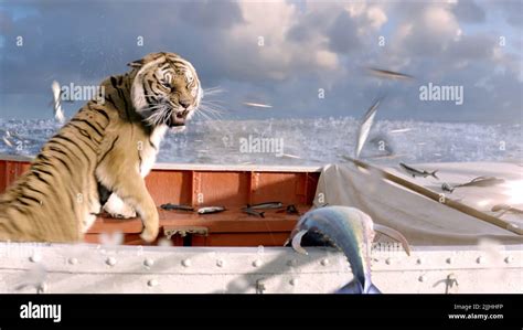 Life Of Pi Tiger Name