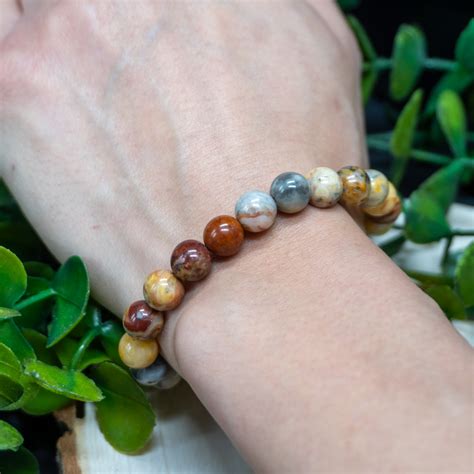 Crazy Lace Agate Bracelet 8mm The Crystal Council