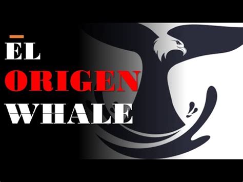 Whale Capital Investments El Origen Youtube