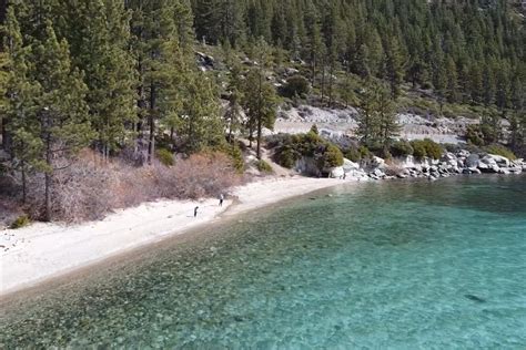 11 Best Dog-Friendly Beaches in Lake Tahoe - Lake Access