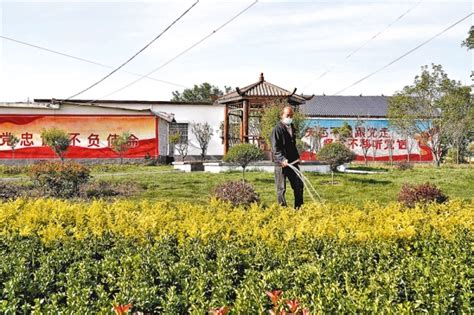 正阳县新阮店乡：田园绘新景 沃野迎蝶变 驻马店文明网