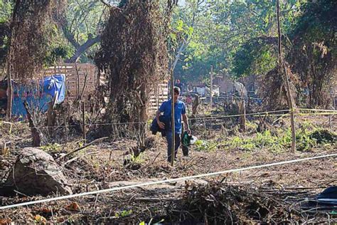 Cort S Registra Invasiones De Tierra