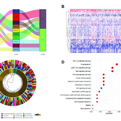 A Sankey Diagram Of The Relationship Among Each Lncrna In M A Lps