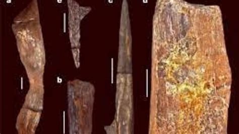 Archaeologists Find Years Old Never Seen Before Wooden