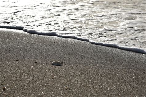 Gambar Pantai Laut Pasir Batu Gelombang Aspal Busa Tanah