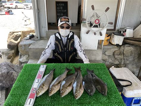 磯釣りでイサキ40㎝まで4枚・グレ2枚・ゲット！ 一栄丸渡船｜三重県紀北町