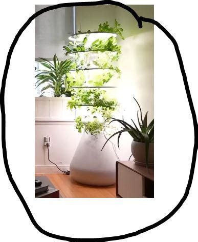 Does anyone know what this plant lamp is? : r/houseplants