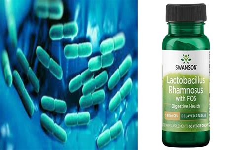 Pdf Probiotic Lactobacillus Rhamnosus Gr And Lactobacillus Reuteri ...