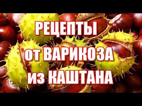 Рецепты от ВАРИКОЗА из каштана Как принимать каштан от варикоза - YouTube