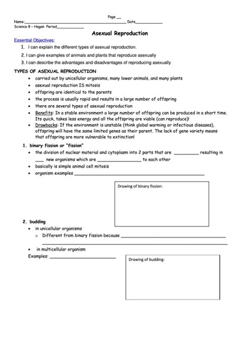 Asexual Reproduction Worksheet Printable Pdf Download