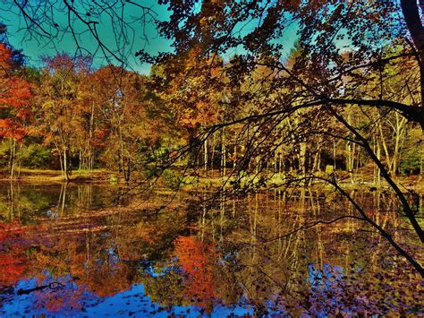 Autumn Pond Reflection Scene by Matthew-Beziat on DeviantArt