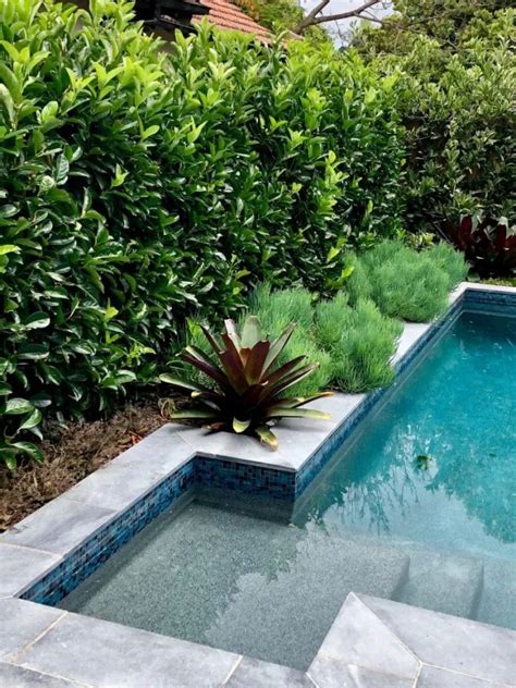 Melhores Plantas Para Piscinas E Inspira Es De Jardins Landscape