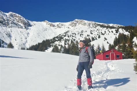 From Brasov Piatra Craiului National Park Private Day Tour GetYourGuide