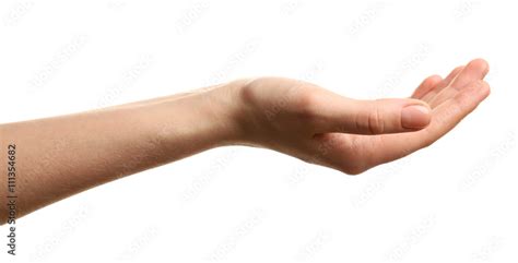 Open Palm Hand Gesture On White Background Stock Foto Adobe Stock