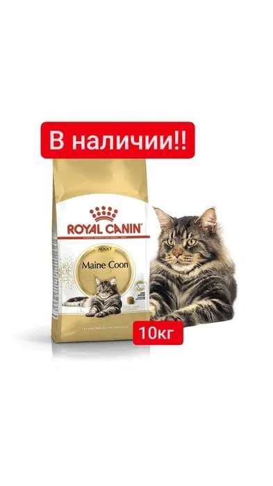 Royal Canin Maine coon adult 10 кг Mainecoon Мэйн Кун 3 470 грн