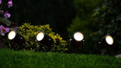 Wilder New Solar Flame Light Outdoor Waterproof Landscape Lighting