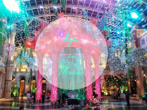 life  macau chicken scrawlings